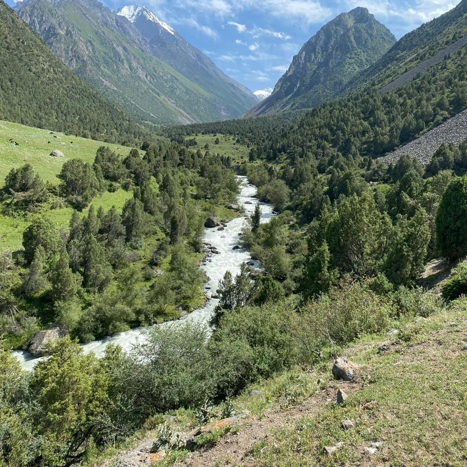 Up the river trail